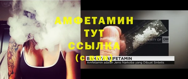 гашик Нея