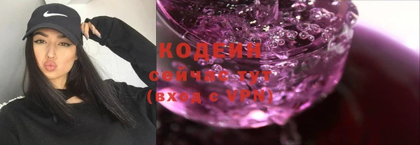 гашик Нея
