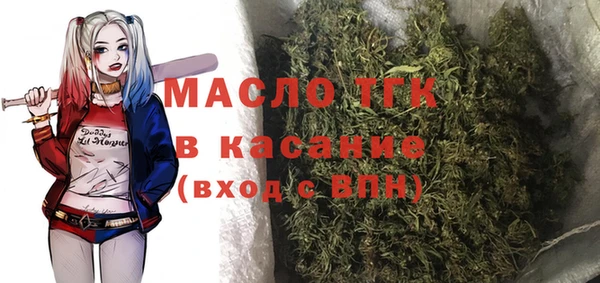 гашик Нея