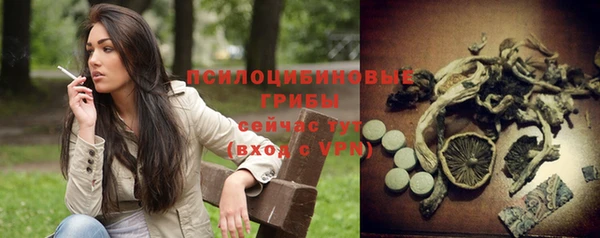apvp Навашино