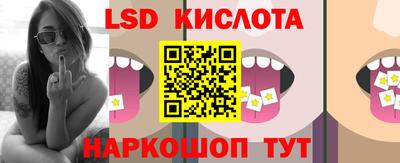 винт Донецк