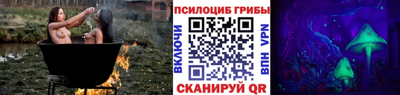 Псилоцибиновые грибы Psilocybine cubensis где продают наркотики Партизанск