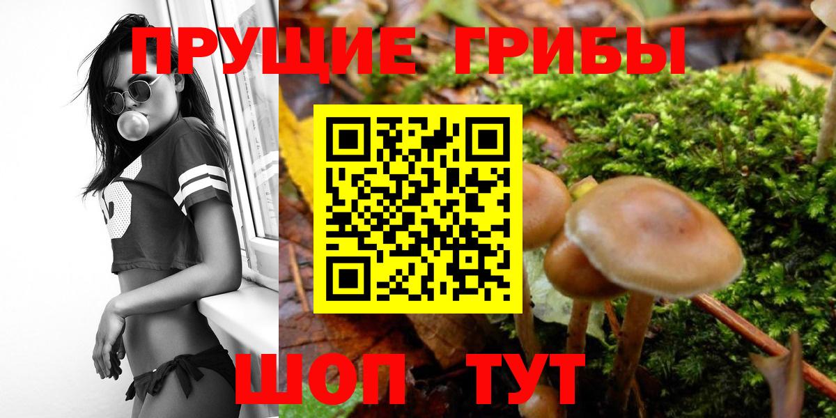 Псилоцибиновые грибы ЛСД  Псилоцибиновые грибы GOLDEN TEACHER  Партизанск  Вход с VPN 